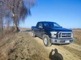 Ford F 150 5.0 V8 XLT 4x4 - SuperCab in schwarz - Ford F 150: Xl