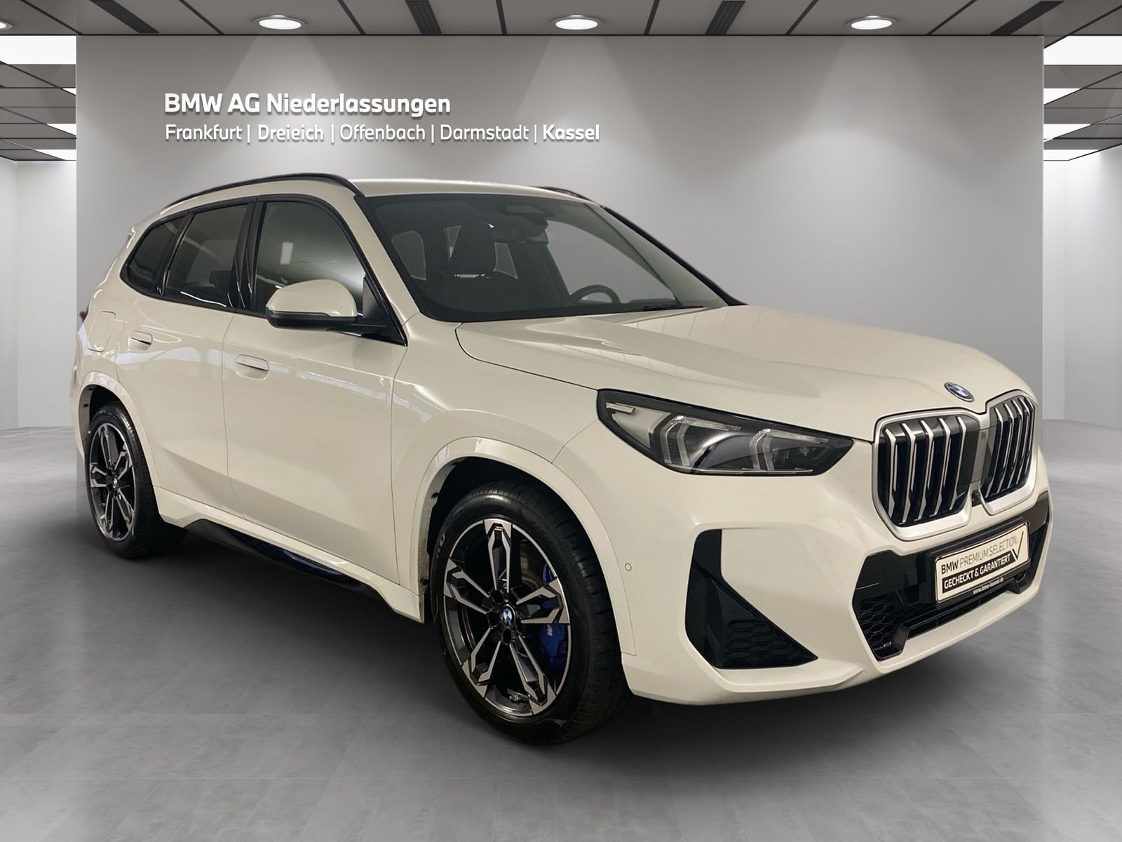 BMW X1 xDrive30e M Sport AHK Driv.Assist.Prof LED foto 3