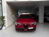 Other ALFA ROMEO Stelvio 2.2 Turbodiesel 160 CV AT8 RW - Other: Rot