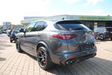 Alfa Romeo Stelvio Quadrifoglio Schiebedach, Alcantara - Alfa Romeo Stelvio: Quadrifoglio