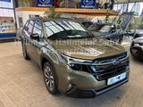 Subaru Forester 2.0ie Platinum Lineartronic 2 mal da - Subaru Forester Gebrauchtwagen