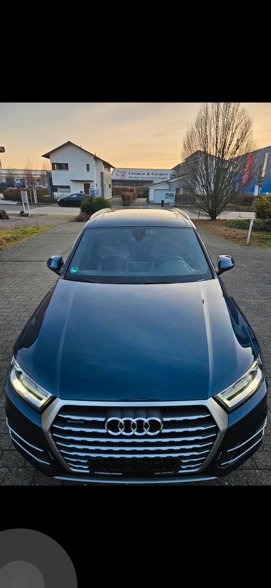Audi Q7 3.0 TDI quattro Top Zustand