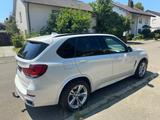 BMW X5 xDrive30d - - BMW X5: Weiß