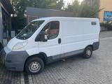 Fiat Ducato - gebrauchte Fiat Ducato aus dem Jahr 2007