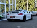 Porsche Cayman 981 GT4 Clubsport*Schale*Xenon*Schalter - Porsche Cayman aus 2015