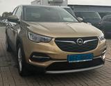 Opel Grandland (X) Innovation *E.Heck*Lnkradhz*Kamera - Opel Grandland (X) innovation mit Benzin-Antrieb