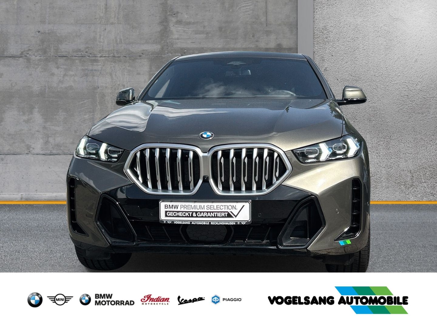 Fahrzeugabbildung BMW X6 40d,xDrive,M SPORT,Standheizung,Panodach,AHK,