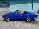 Fiat 124 Spider CS1-Bj.1977 - gebrauchte Fiat 124 Spider aus dem Jahr 1981