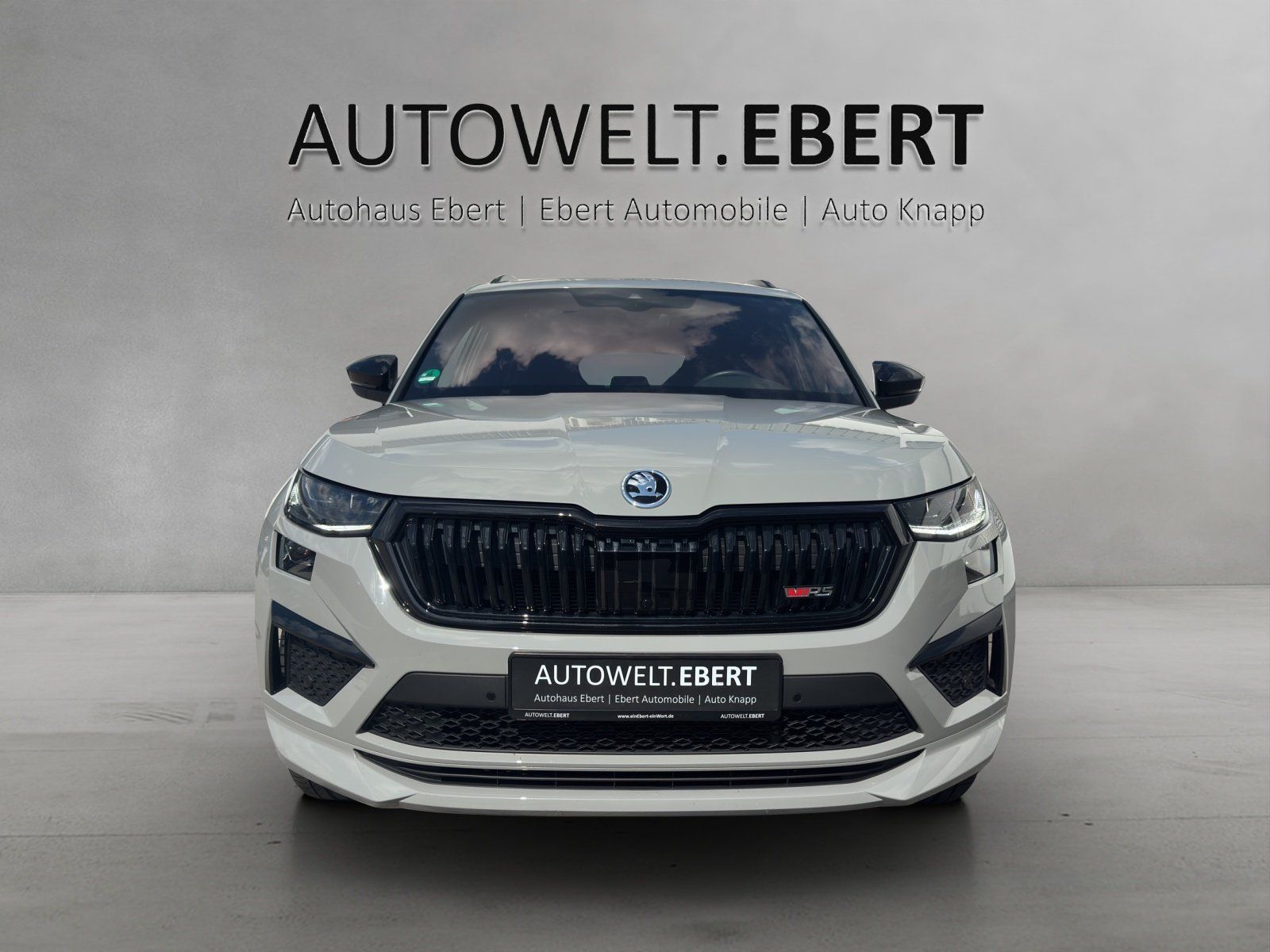 Fahrzeugabbildung SKODA Kodiaq 2.0 TSI RS 4x4/KAMERA/ACC/COLUMBUS/DCC/
