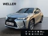 Lexus UX 250h Style Edition *Bi-LED*ACC*CAM*SHZ*CarPla - Lexus UX in Leipzig