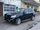 Mercedes-Benz Mercedes ML 250 CDI 4Matic - Mercedes-Benz ML 250 aus 2012