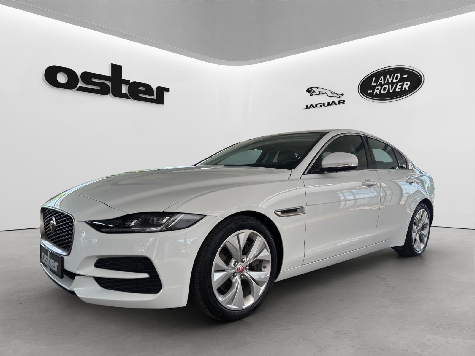 Jaguar XE P250 S |HIFI|Kamera|Leder|LED|Tempomat|PDC