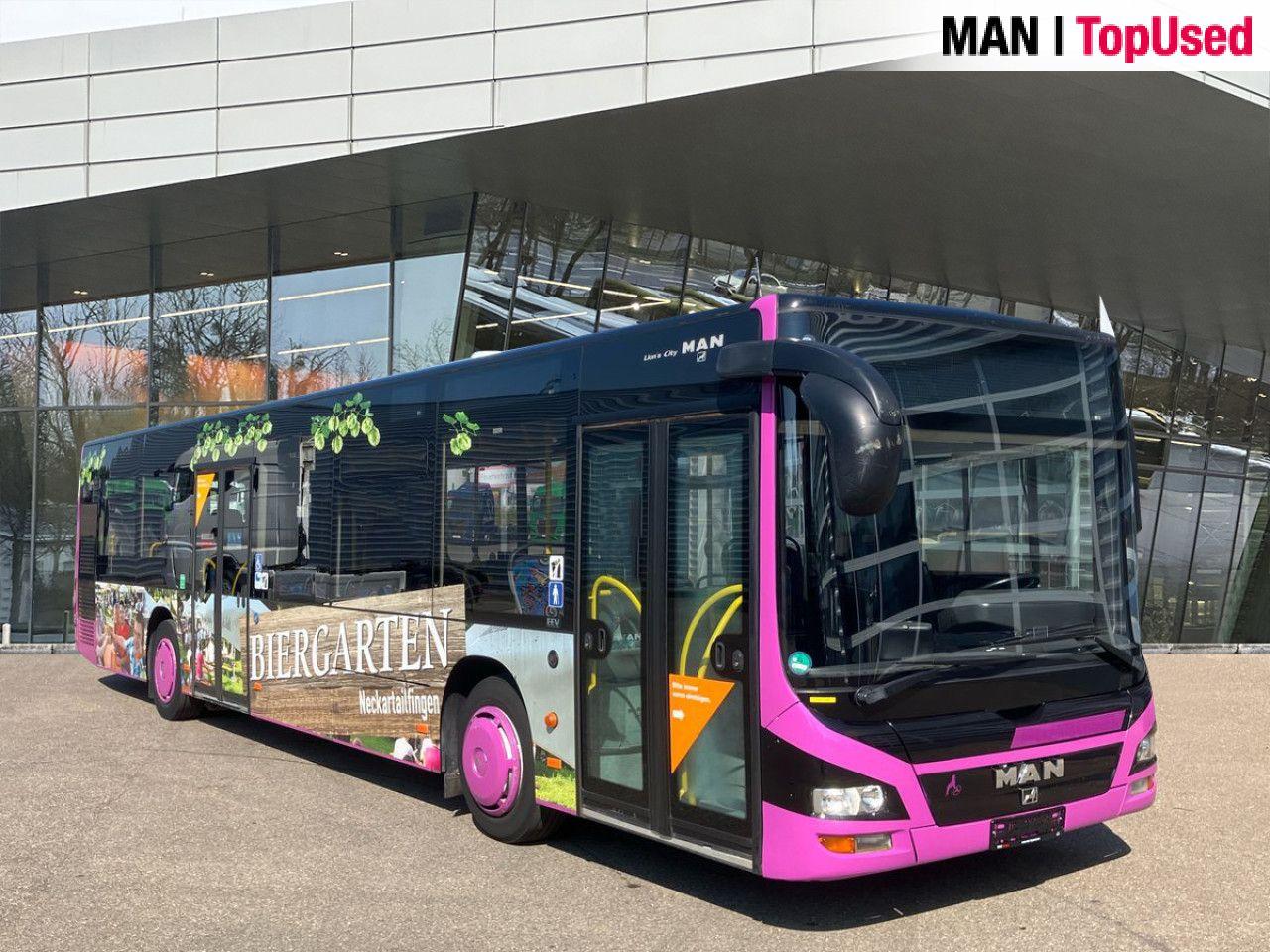 MAN LION'S CITY / A21