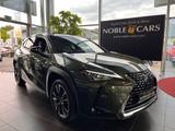 Lexus UX 250 h Style Edition RFK Full Link LED AHK - Lexus aus 2021