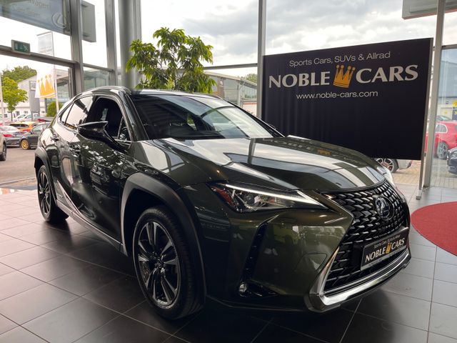 Lexus UX 250 h Style Edition RFK Full Link LED AHK