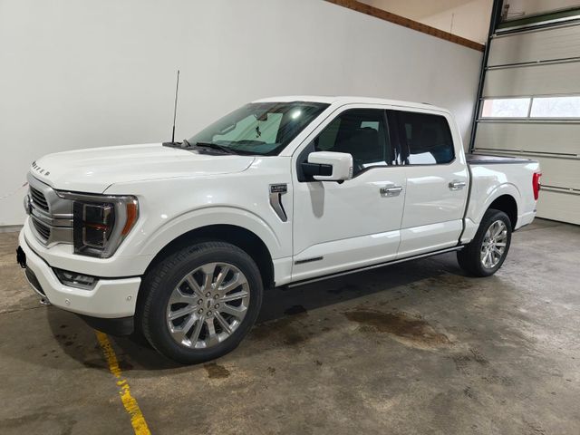 Ford F 150 Limited  436PS Automatik B&O LED Panorama