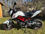 Benelli Tornado TNT 125 - BENELLI VON 81 BIS 125 CCM