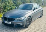 BMW 425d Coupé M Sport HeadUp Keyless H&K Kamera AHK - BMW 425 Gebrauchtwagen