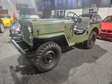 Jeep Willys/ H-Zulassung/Schweizer Fahrzeug - : Schweiz