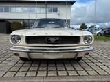 Ford Mustang Cabrio V8 289Cui  4 Gang Schalter  - Ford Mustang Oldtimer: Roadster