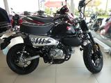 Honda Z125 Monkey  l 2025 "Sonderaktion" - HONDA MONKEY