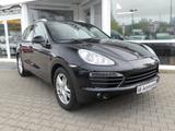 Porsche Cayenne Pano Bi-Xenon Kam. Navi Bose Volleder - Porsche Cayenne Gebrauchtwagen