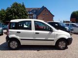 Fiat Panda 1.1 8V Active - Fiat Panda in Bonn