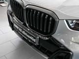 BMW X5 xDrive40d MSport PANO AHK NAVI LED PDC V+H - BMW X5