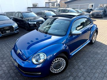 Volkswagen Beetle - 11