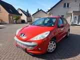 Peugeot 206 + Generation - Peugeot 206: Rot