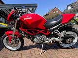 Ducati Monster S2R 800 - DUCATI MONSTER 800