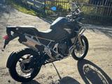 Triumph Tiger 1200 Rally Explorer - NEUFAHRZEUG -  - Triumph Tiger 1200 Rally Explorer
