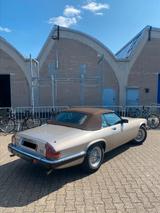 Jaguar XJS V12 Cabrio - BJ 1988 - silber - Vollleder - Jaguar XJS: Coupe