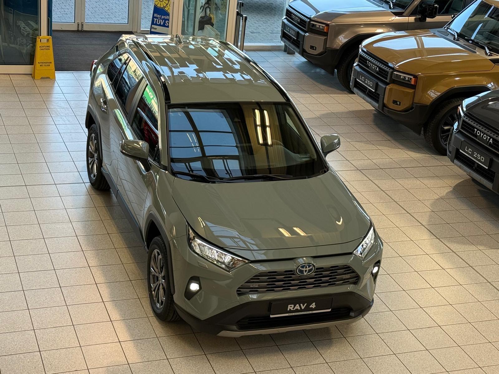 Toyota RAV 4 HYBRID - TEAMPLAYER-LED-KAMERA-TOTWINKELW.