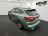 Ford Kuga Hybrid 2.5 Duratec FHEV ST-Line X/ Panorama - Ford Kuga FHEV Gebrauchtwagen
