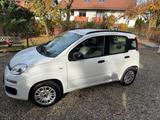 Fiat Panda Lounge  - gebrauchte Fiat Panda aus dem Jahr 2014