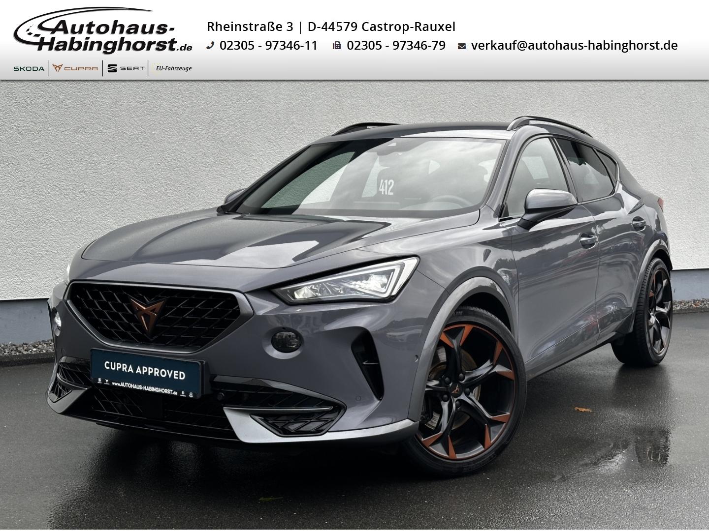 Cupra Formentor 2.0 TSI DSG 4Drive VZ ACC DCC Navi PDC