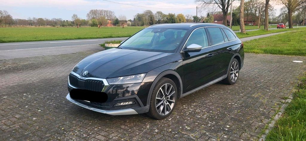 Image of Skoda Octavia