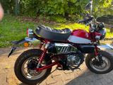 Honda Monkey Z125 MA - Honda Motorräder in Dortmund
