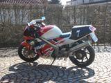 Honda RVF 400 RR - SPORTLER VON 251 BIS 500 CCM