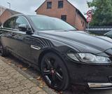Jaguar XF E-Performance 163PS R-Sport R-Sport - Jaguar XF in Duisburg