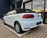 Volkswagen Golf 1.2 TSI Cabrio - Volkswagen Golf mit Benzin-Antrieb: Cabrio, 1.2