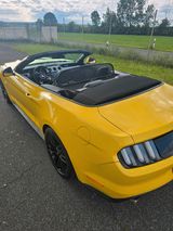 Ford Mustang 5.0 Ti-VCT V8 GT auto GT - : Gelb, Cabrio
