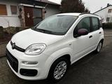 Fiat New Panda 1.2 8V - - weiße Fiat New Panda