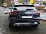 Kia XCeed Black Xdition - Kia XCeed mit Panoramadach