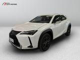 Lexus UX 250 2.0 Hybrid Urban 2WD Power Split De - Lexus UX aus 2022