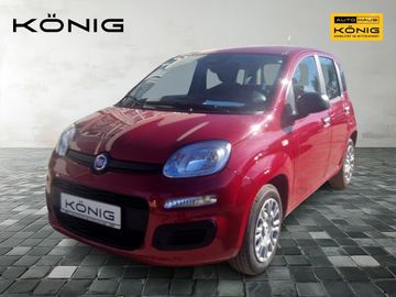 Fiat Leasingangebot: Fiat Panda MY25 1.0 70PS Eurostar Klima PDC