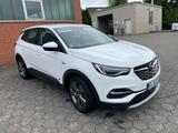Opel Grandland (X) 1.6 Hybrid Elegance Auto Elegance  - Opel: Firmenfahrzeug