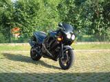 Triumph Daytona 1200