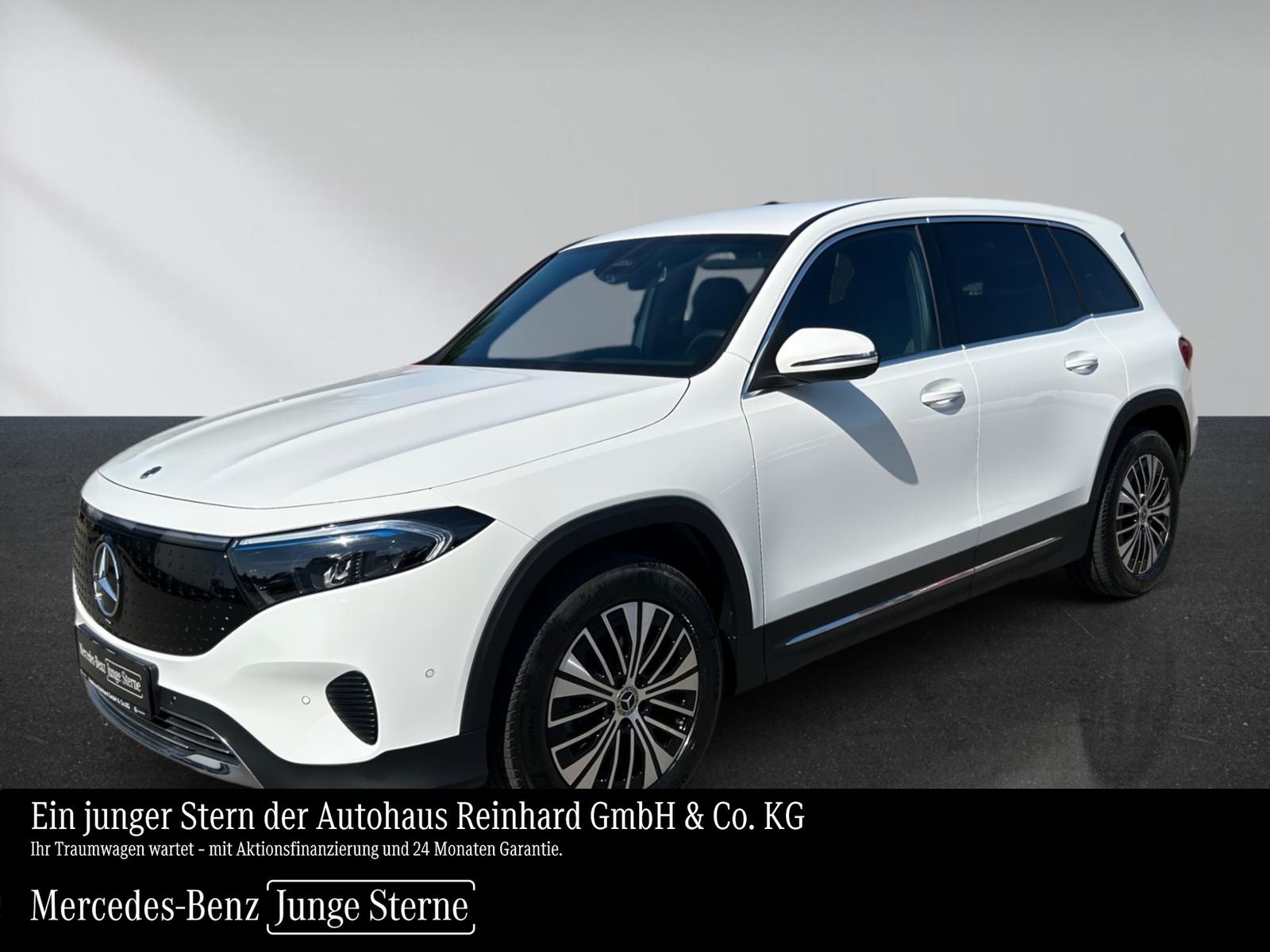 Mercedes-Benz EQB 250+ Progressive+Advanced+Distr.+Winter+Kam